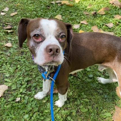 Casper - Benchwarmer!