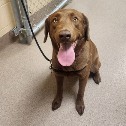 "Tipsy"-Adoption Hold!