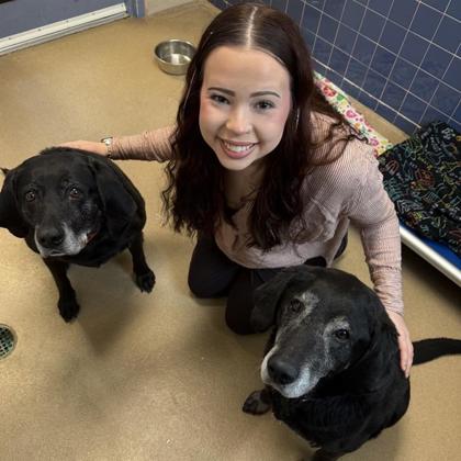 Badger - Required Couple & Staff Pick!