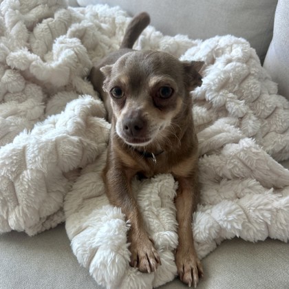 Coco