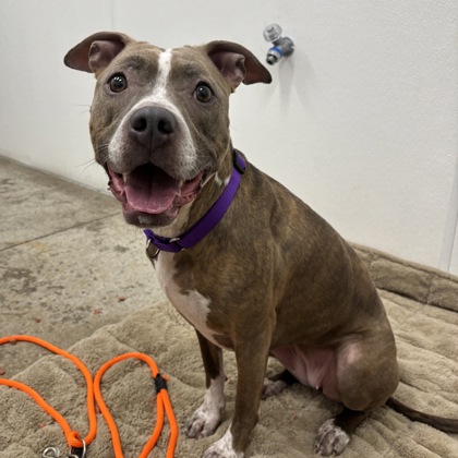 Hermoine - Benchwarmer!