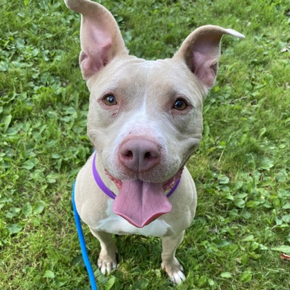 Winnie
