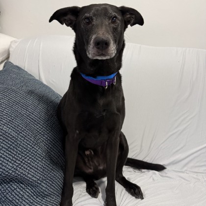 Mason Lamar - Benchwarmer!