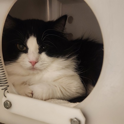 Tux