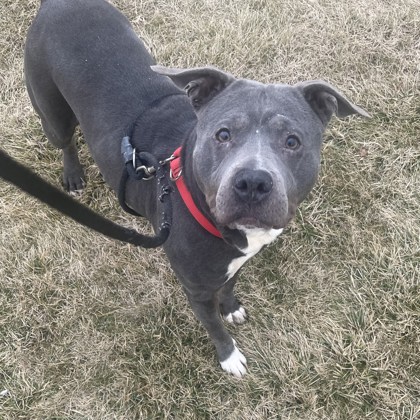 Margo - Benchwarmer!