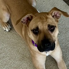 Mystery - Benchwarmer!