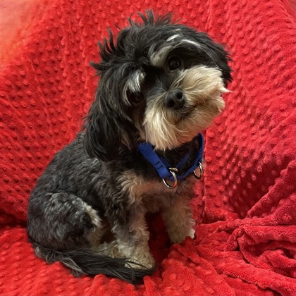 Nyla - Available Fri. Mar. 13 @ 11am