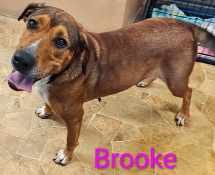 Brooke
