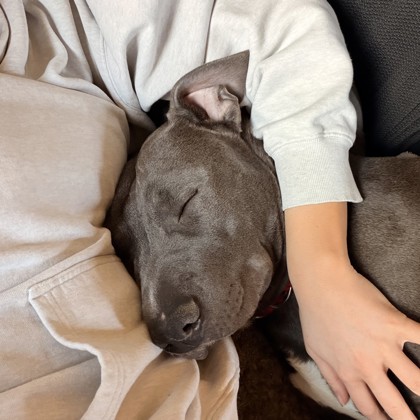 Angeles - Benchwarmer!