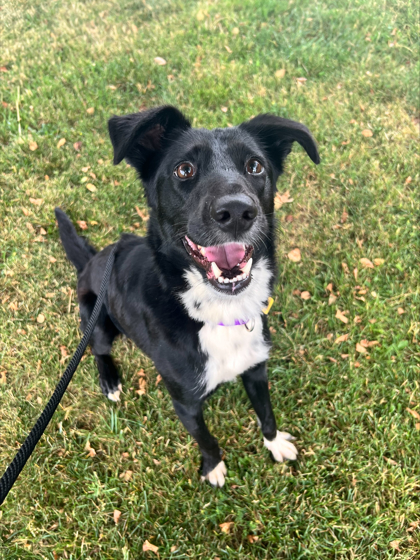 Sophia