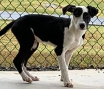 Tuesday - Available Sat. Nov. 8  @ 3pm!