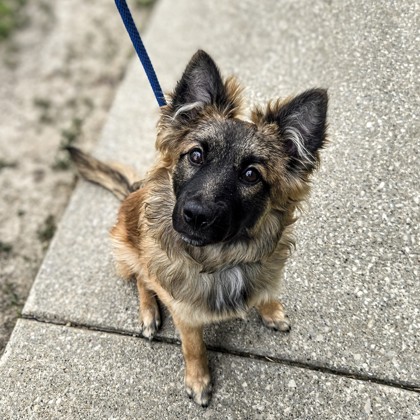 Max
