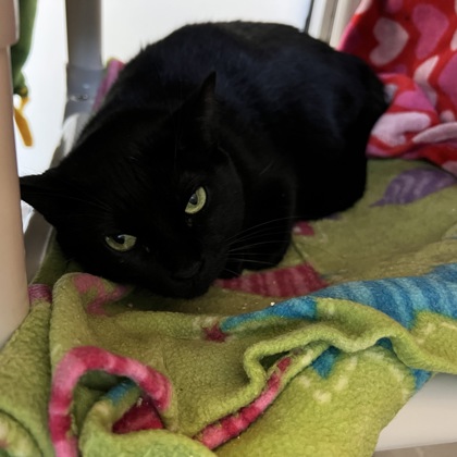 Luna