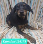 Kamden