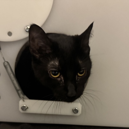 Luna