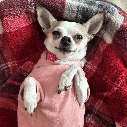 Tiny