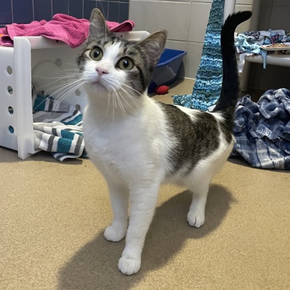 Popcorn - REQUIRED COUPLE!