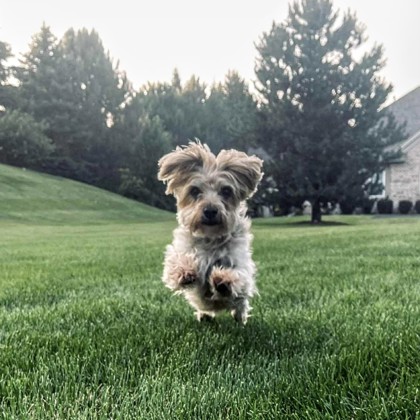 Macey-Video!