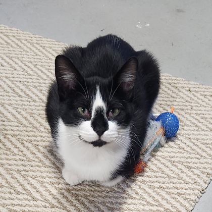 Minnie