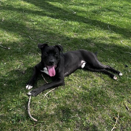 Spiker - Benchwarmer!