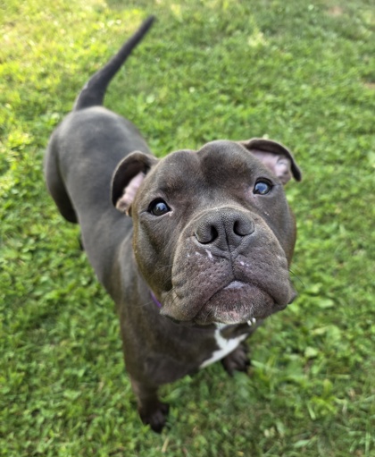 Sammy