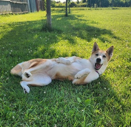 Tahoe - Benchwarmer!