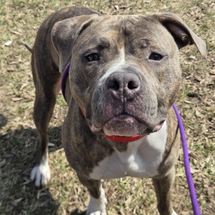 Whiskey - Benchwarmer!