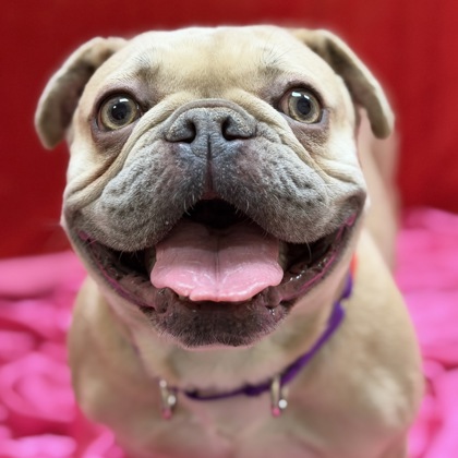 "Señorita Sweetheart"