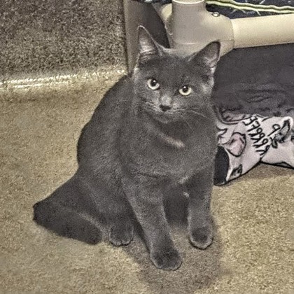 Spicy - Volunteer Pick!