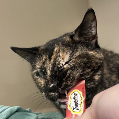 Kiyomi - Staff Pick!