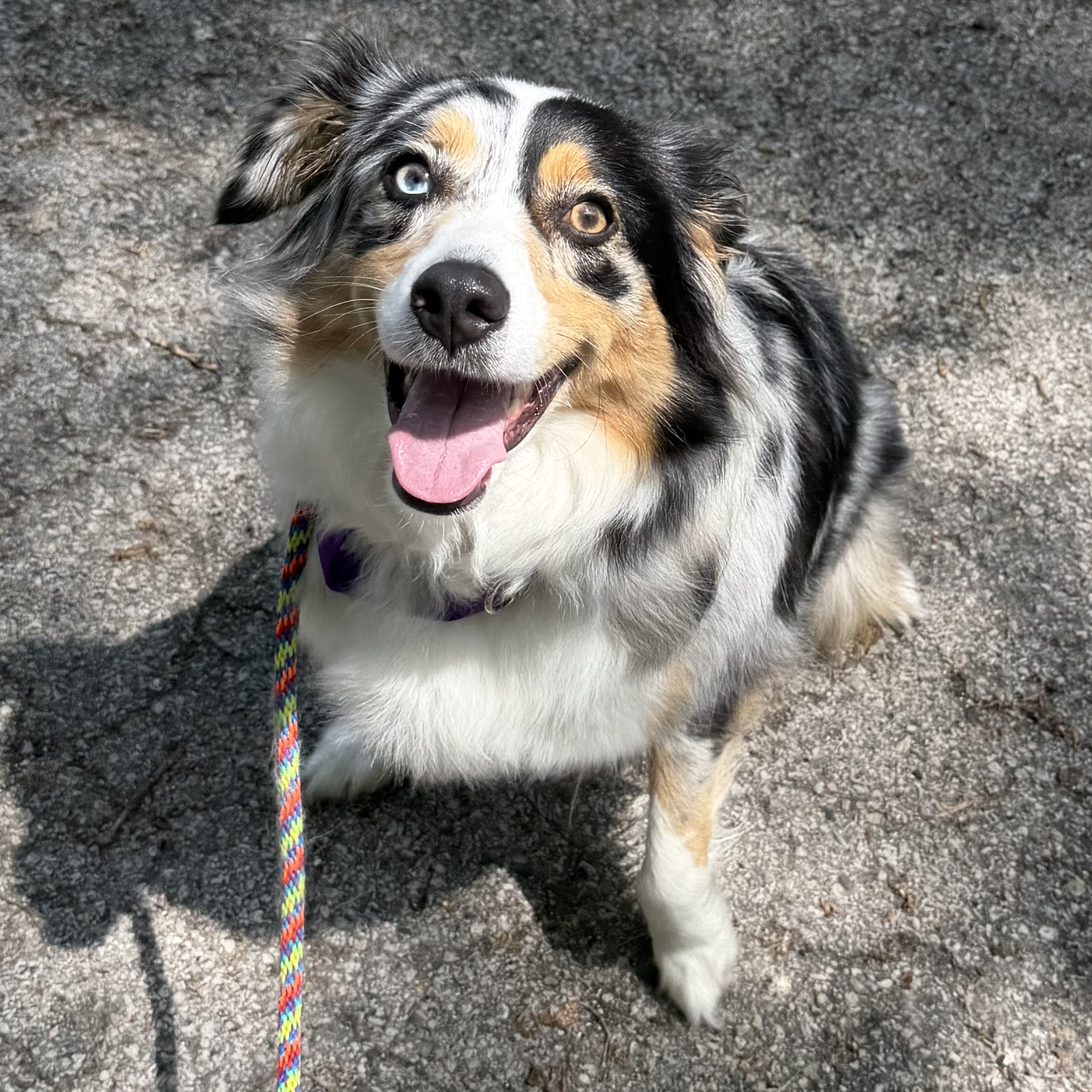 Luna