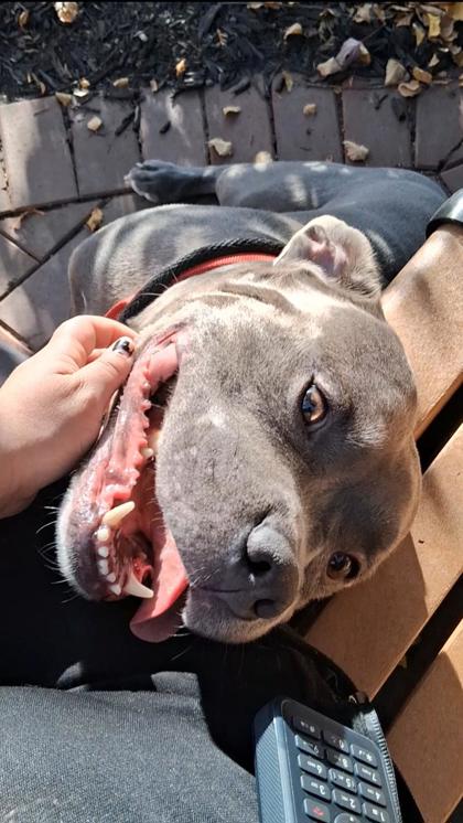 Axel