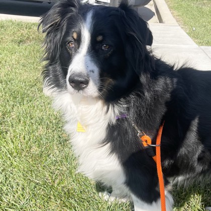 Hunter - Benchwarmer!