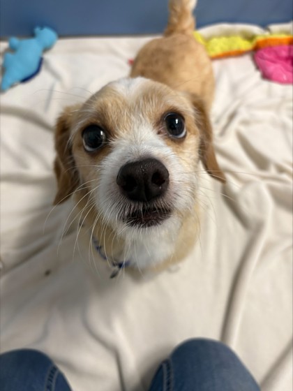 Mason