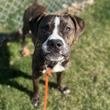 Hercules - Benchwarmer!