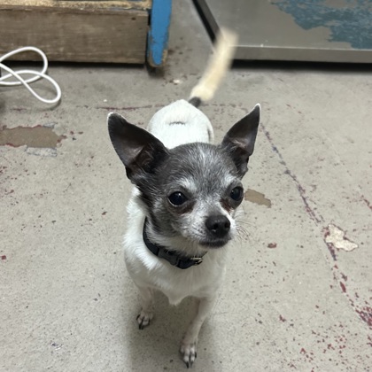 Tiny