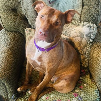 Sadie