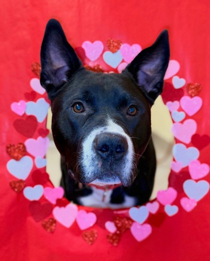 Smokey- Benchwarmer!