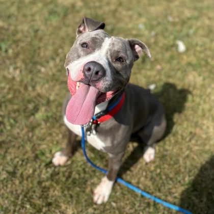 Buddha - Benchwarmer!