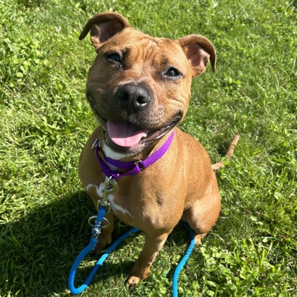 Colette - Benchwarmer!