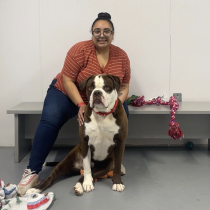 Buck - Benchwarmer and Staff Pick!