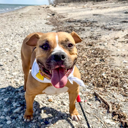 Olivia - Benchwarmer!