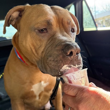 Jupiter-Benchwarmer!