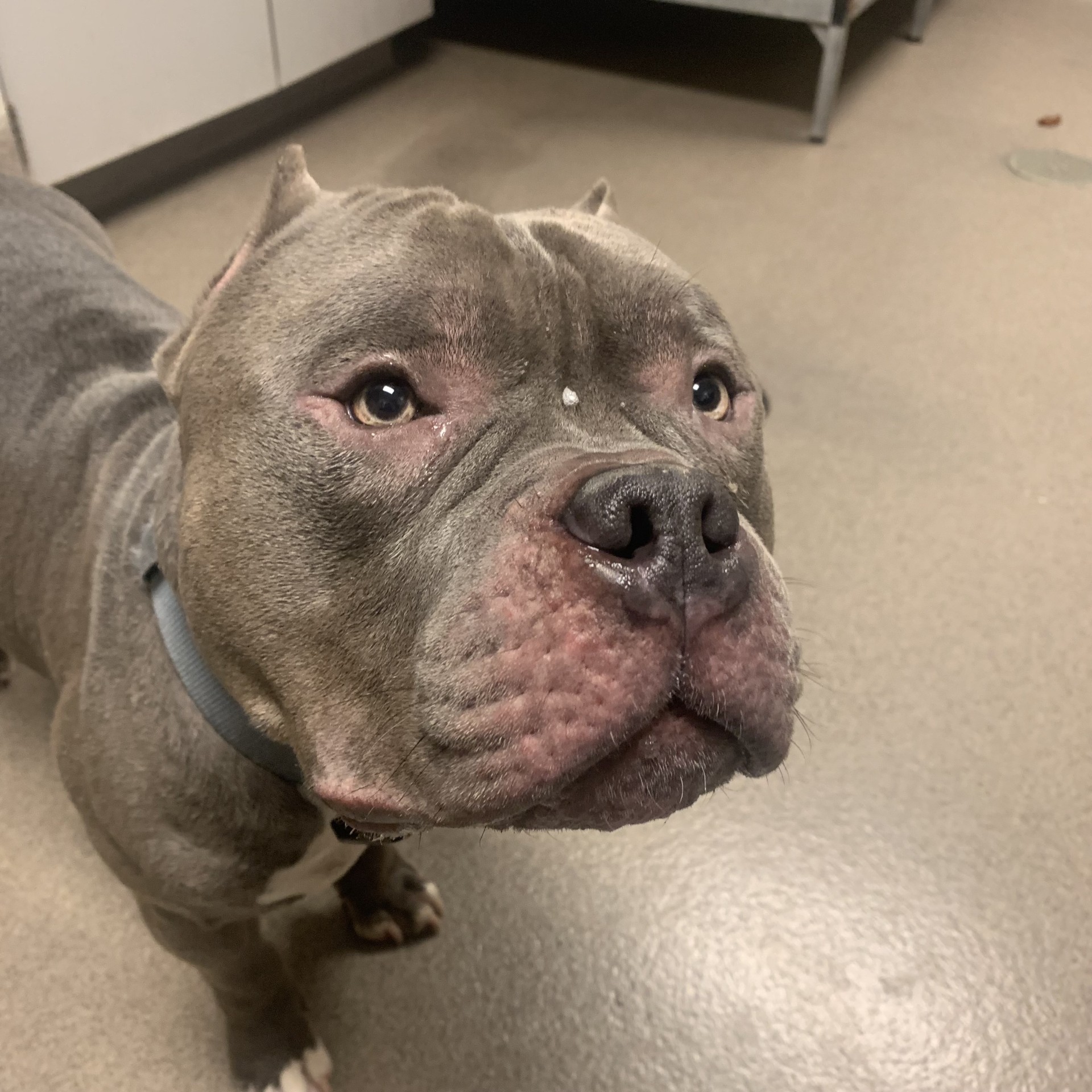 "Gimli son of Gloin"