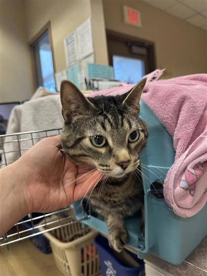 Neville-Required couple w/Luna