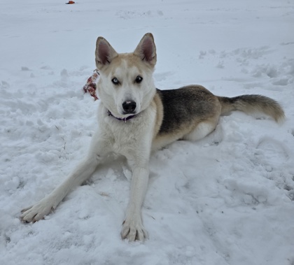 Winter - Benchwarmer!