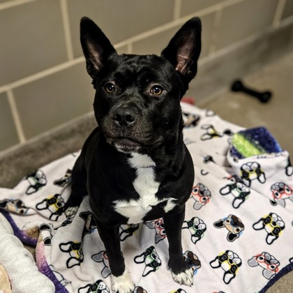 Harry - Benchwarmer!