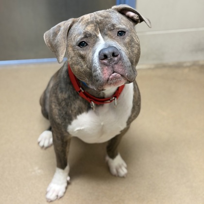 Whiskey - Benchwarmer!