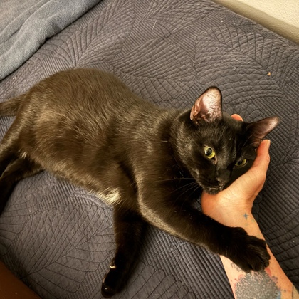 Sabrina