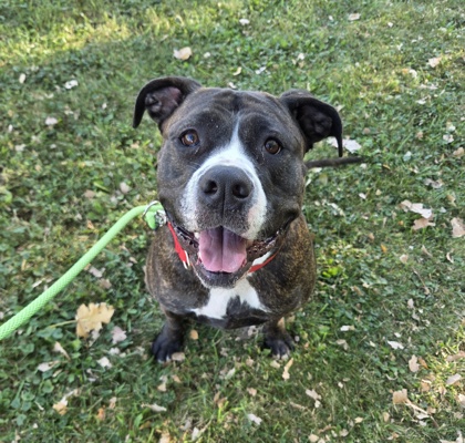 Rousey - Benchwarmer!